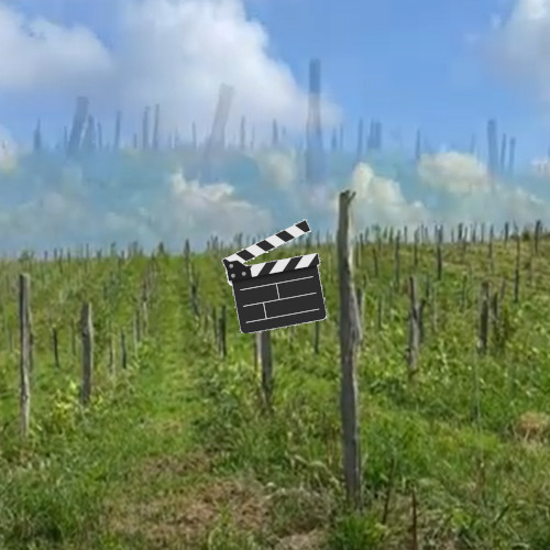 Daniel nous montre comment il fauche l'inter cep (entre les pied de vigne). Il fauche 2 hectares de vignes. Voir la vidéo et nos conseils à Daniel...