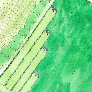 Découvrez quelques stratégie de fauchage : dans une prairie, dans une pente, au bord d'un muret, autour d'un arbre. La stratégie vous permet de gagner en efficacité, et en tranquillité d'esprit.