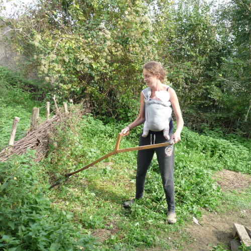 Formateur Ferme Nizibar